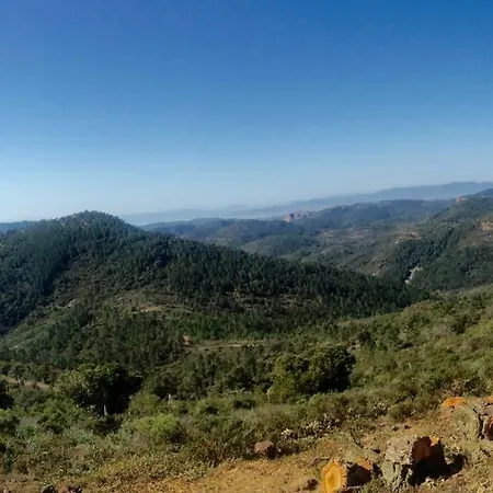 Tiloft