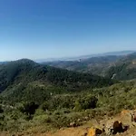 Tiloft